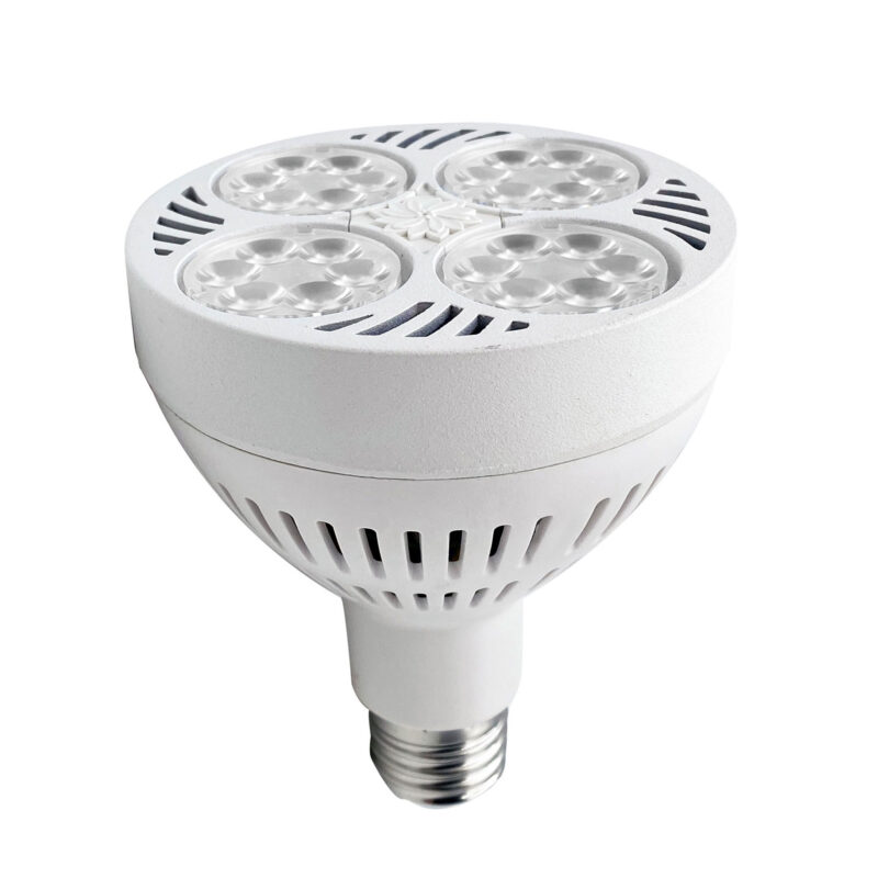 PAR 30 Full Spectrum LED Lumiram Crisp