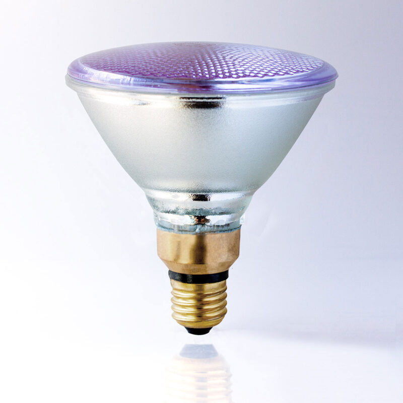 PAR 38 Chromalux Full Spectrum Halogen Lamps