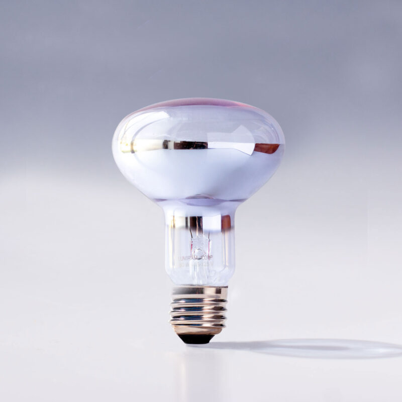 R25SP Reflector Clear Chromalux Full Spectrum Incandescent Light Bulb