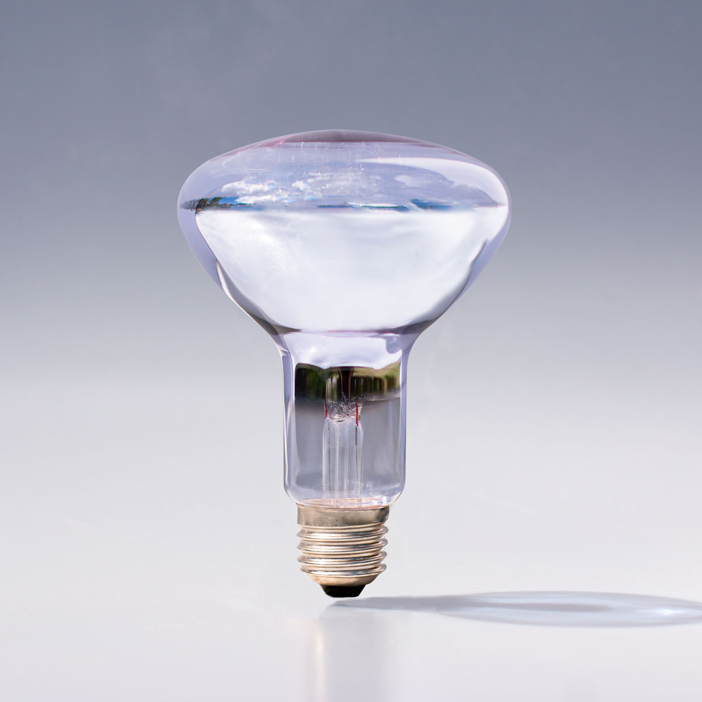R30SP Reflector Clear Chromalux Full Spectrum Incandescent Light Bulb